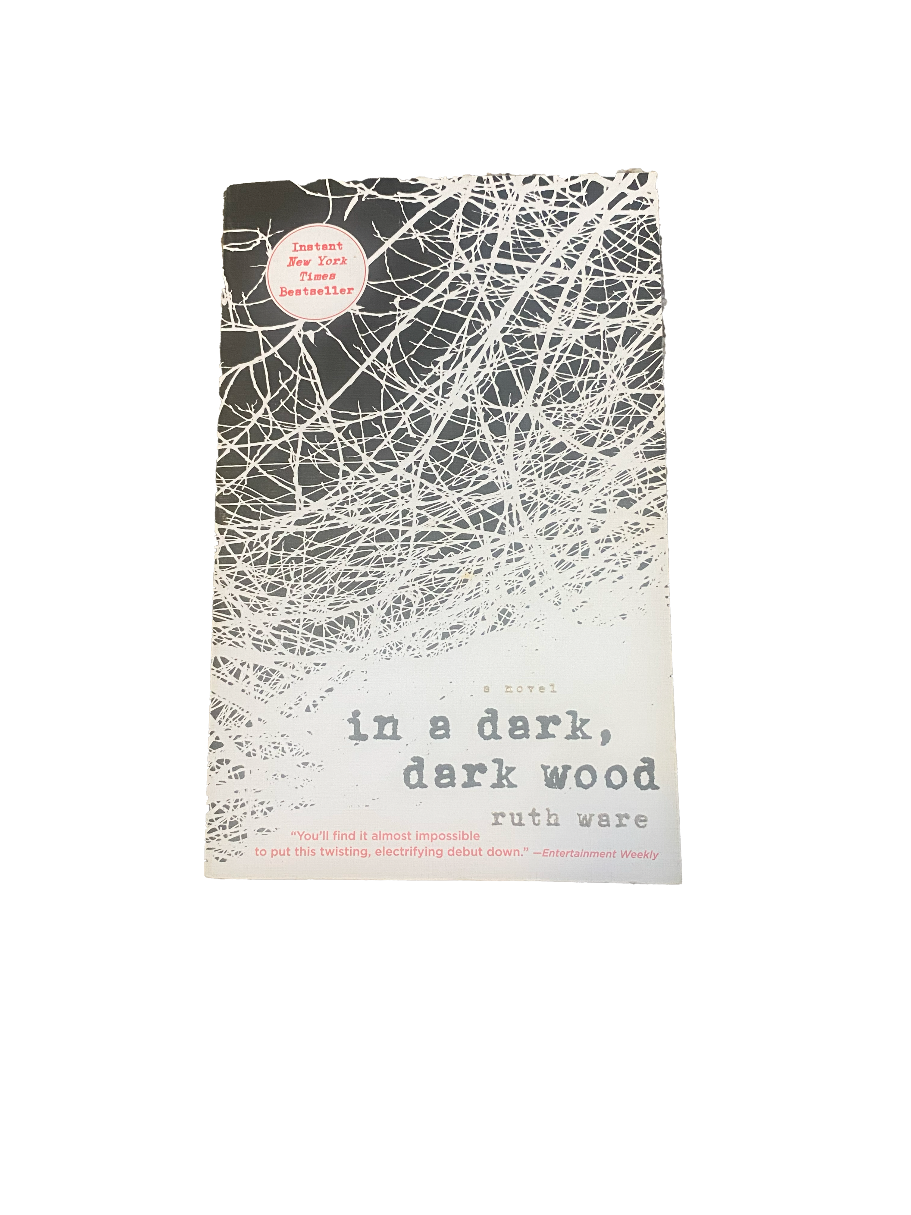 In a Dark, Dark Wood