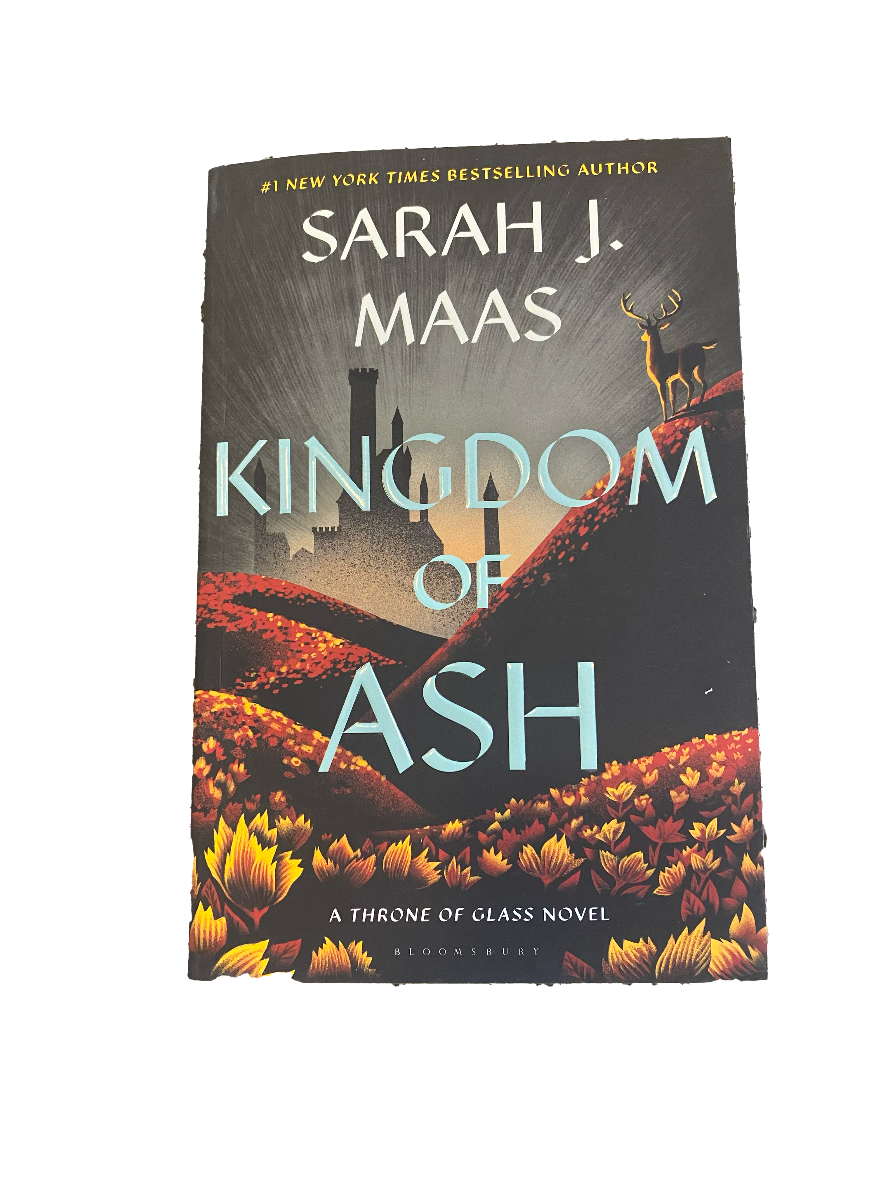 Kingdom of Ash